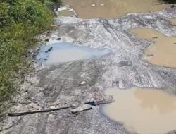 Swadaya Warga Perbaiki Jalan Rusak Sambiki–Jikotamo