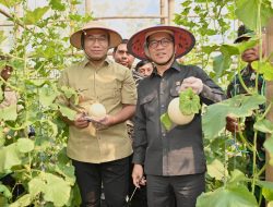 Mendes PDT Yandri Susanto Panen Raya Agrowisata BUMDesa di Sragen, Puji Kesuksesan Desa Kaliwedi