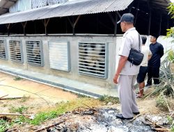 Serangan Rengit Resahkan Warga Desa Cempedak Lobang, Diduga Berasal dari Kandang Ayam