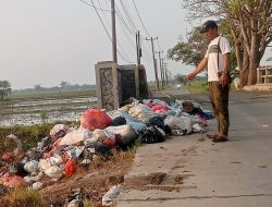 Tumpukan Sampah Cemari Jalan Penghubung Desa Kampung Sawah-Bolang, DLHK Karawang Minta Penertiban
