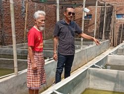 Kelompok Budidaya Lele “Nina Heman Hegarsari” di Banjar Dorong Perekonomian Warga