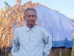 Mantan Operator Alat Berat Sukses Jadi Pembudidaya Jamur Merang di Karawang