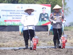 Jombang Jadi Pusat Penanaman Jagung Serentak Bersama Santri dan Polri