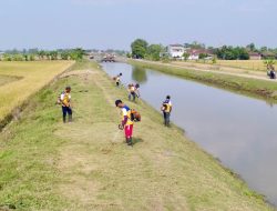 Kementerian PU Libatkan Masyarakat dalam Program Infrastruktur Sambut HUT RI ke-80