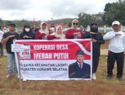 Koperasi Ulu Sawa Ikut Meriahkan Pembukaan HUT ke-80 RI di Laonti