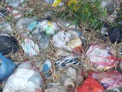 Lautan Sampah di Sungai Bapang Jombang, Warga Minta Pemerintah Bertindak