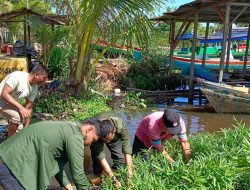 Hadapi Lahan Kritis, Rubek Pasi Aceh Singkil Kembangkan Pertanian Terapung