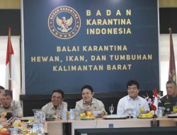 Kalimantan Barat Catat Sejarah, Ekspor Perdana Kratom ke India Capai Rp15,4 Miliar
