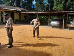 Dukung Ketahanan Pangan Nasional, Polri Bangun 18 Gudang Penyimpanan Jagung di 13 Polda