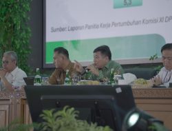 Tumbuhkan Sumber Ekonomi Baru, Bappenas Dorong Pemda Manfaatkan Potensi Pariwisata Lokal