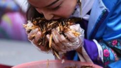 Gambar hanya ilustrasi.