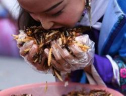 Heboh Ulat di Menu Makan Gratis Bangkalan, SPPG Akui Lalai Tapi Klaim ‘Aman Dikonsumsi dan Tinggi Protein’