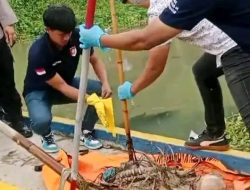 Kerangka Manusia Ditemukan Mengambang di Saluran Irigasi Cioter Karawang