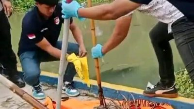 Kerangka Manusia Ditemukan Mengambang di Saluran Irigasi Cioter Karawang