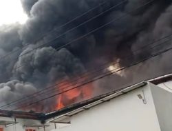 Kebakaran Hebat Melanda Pabrik Boneka di Jombang, Damkar Berjibaku Padamkan Api