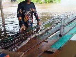 Aktivitas Lumpuh Total, Banjir Besar Landa Aceh Singkil Selama Lima Hari: Warga Desak Perbaikan Infrastruktur