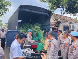 Digerebek di Rumah Kontrakan Jombang, Polisi Amankan Ratusan Batang Ganja dan 5 Kg Ganja Kering