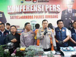 Polres Jombang Bongkar “Green House” Ganja di Kamar Kontrakan, Dikendalikan Peneliti Independen
