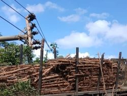 Truk Kayu PT WKS Hantam Tiang Listrik di Bayung Lencir, Ribuan Warga Gelap Gulita Akibat Padam Total