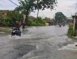 Gresik Selatan Terendam Lagi: Kali Lamong Meluap, WaGs Desak Solusi Permanen Lintas Pemerintah