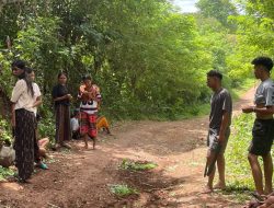Lawan Lumpur dan Ilalang: Pemuda Desa Sone Gotong Royong Benahi Jalan Penghubung di Insana Tengah