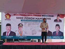 Cegah Abrasi Pesisir, Bupati Karawang dan DPC Gerindra Tanam 5.000 Pohon Mangrove di Cemarajaya