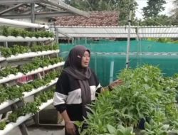 Kurnia Asri: Oase Pertanian Modern dan Pusat Edukasi di Jantung Industri Jayanti Tangerang
