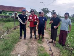 Kurang dari 10 Menit Keluhan Warga Teratasi, Call Center 112 Sumenep Buktikan Respons Cepat di Akhir Tahun