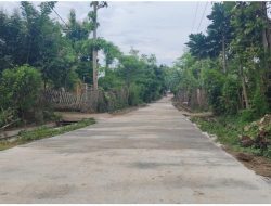 Tuntaskan Pembangunan Jalan Rabat Beton, Kades Jatisari Situbondo Dongkrak Aksesibilitas Ekonomi Warga