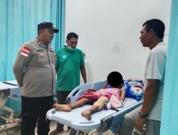 Diterkam dan Diseret ke Rawa, Bocah 11 Tahun di Nagan Raya Selamat dari Lilitan Ular Piton