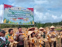 Dukung Ketahanan Pangan, Polres Nagan Raya Sukseskan Panen Raya Jagung Nasional 2026