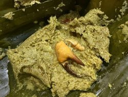 Bobor Yuyu Desa Grogol: Makanan “Anti-Mainstream” Tinggi Protein yang Diburu di Musim Hujan