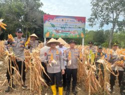 Dukung Asta Cita Presiden, Polresta Tanjungpinang Panen Raya 1 Ton Jagung di Bukit Lestari