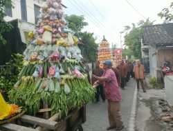 Lestarikan Budaya Jawa, Warga Desa Jabung Klaten Gelar Kirab Gunungan Sadranan