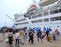 Mudik Gratis Bersama BUMN 2026: PELNI Sediakan 800 Tiket Kapal Rute Kalimantan–Jawa, Cek Cara Daftarnya!