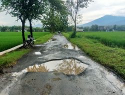 Warga Grobogan Mojowarno Tagih Janji Bupati: Jalan Rusak Parah Bertahun-tahun, Akses Ekonomi Lumpuh Saat Hujan