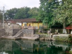 Kemandirian Desa Gedaren: Meski Dana Desa Berkurang, Rehabilitasi Wisata Umbul Gedaren Tetap Jalan Terus
