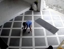 Miris! Kucing di Lumajang Tewas Akibat Ulah Anak-Anak, Pemilik Ingatkan Pentingnya Pengawasan Orang Tua