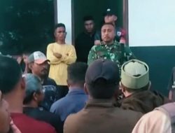 Oknum Anggota TNI Terlibat? Warga Waeapo Buru Tangkap Komplotan Pencuri Sapi Berbekal Racun CN