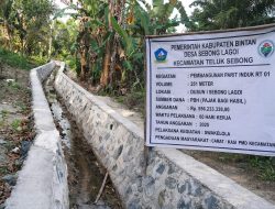 Anggaran Rp556 Juta Dinilai Janggal, Kejari Bintan Bidik Dugaan Korupsi Proyek Parit di Desa Sebong Lagoi