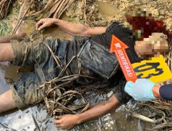 Geger Penemuan Mayat Petani di Kebun Sawit Tadu Raya, Polres Nagan Raya Lakukan Penyelidikan