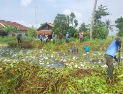 Sinergi Pemdes Kedungjeruk dan PUPR: Normalisasi Saluran Irigasi Demi Ketahanan Pangan Desa