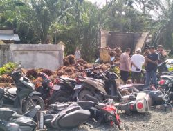 Truk Sawit 9 Ton Mundur di Tanjakan, Polsek Tadu Raya Gerak Cepat Tangani Laka Tunggal di Alue Bata
