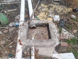 Standar Higienitas Diabaikan, Kades Waluya Desak Kepala Dapur MBG Cikeris 2 Dicopot