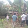 Sengketa Batas Tanah Berujung Laporan Polisi, Warga Desa Aek Buaton Adukan Oknum Kades dan Istri ke Polsek Barteng