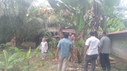 Sengketa Batas Tanah Berujung Laporan Polisi, Warga Desa Aek Buaton Adukan Oknum Kades dan Istri ke Polsek Barteng