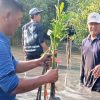 Perkuat Ekosistem Pesisir, DLH Surabaya dan Pelindo Tanam Ribuan Bibit Mangrove di Wisata Sontoh Laut