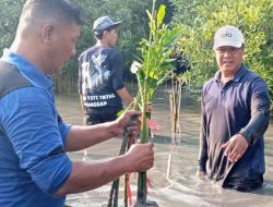 Perkuat Ekosistem Pesisir, DLH Surabaya dan Pelindo Tanam Ribuan Bibit Mangrove di Wisata Sontoh Laut