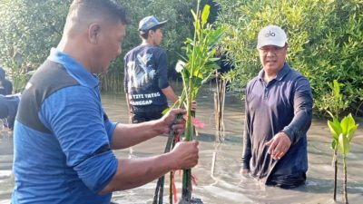 Perkuat Ekosistem Pesisir, DLH Surabaya dan Pelindo Tanam Ribuan Bibit Mangrove di Wisata Sontoh Laut