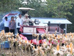 Aksi Nyata Presiden Prabowo Kemudikan Traktor Raksasa di Tuban, Siap Ekspor Ratusan Ton Jagung ke Malaysia